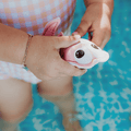 strandspeelgoed-zeedieren-swim-essentials-2
