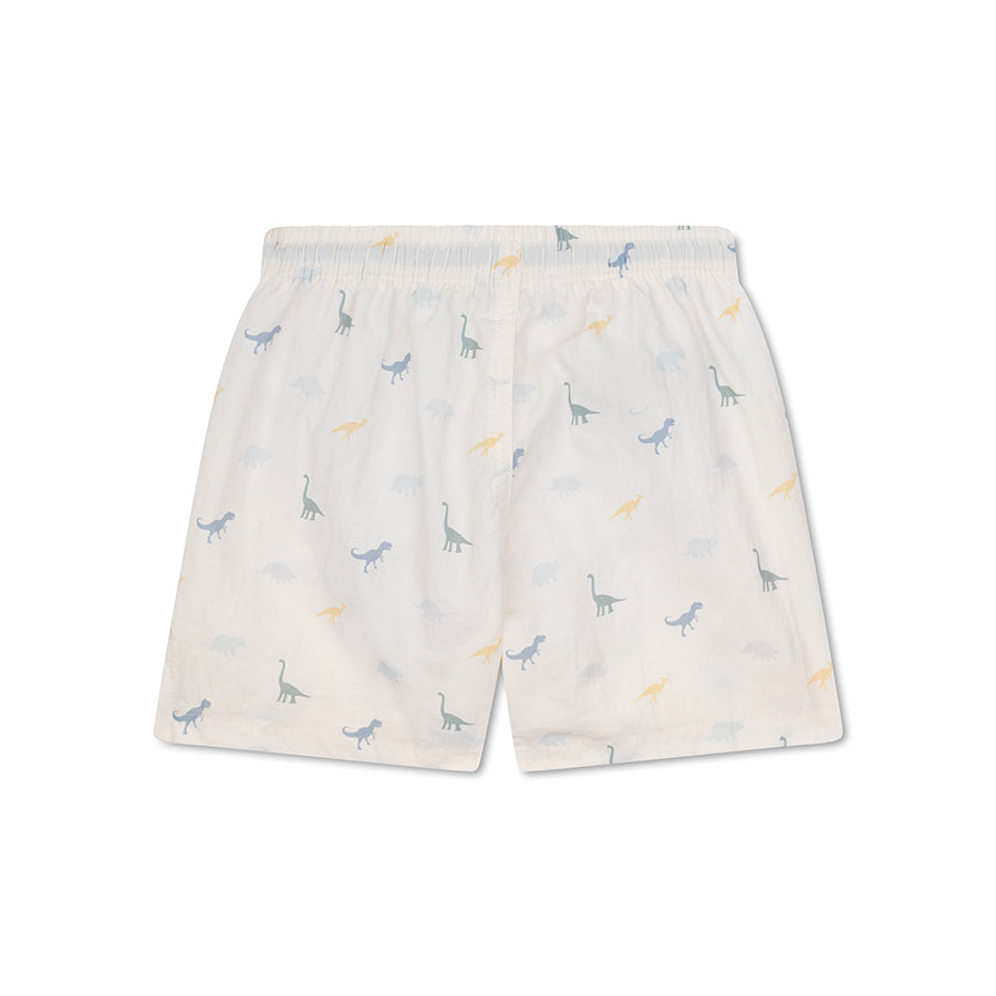 UV-Zwembroek-Jongens-Dino-Meerkleurige-swim-essentials-4