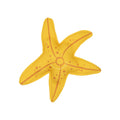 strandspeelgoed-seastar-swim-essentials-4